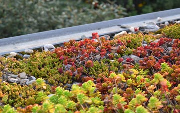 the cost of Eston green roof installation