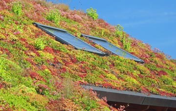 Eston living roof systems