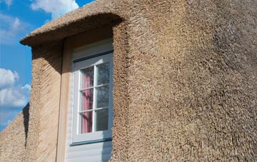 Eston thatch roof disadvantages