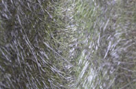 Eston fibreglass roof work