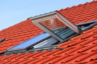 Eston roof window